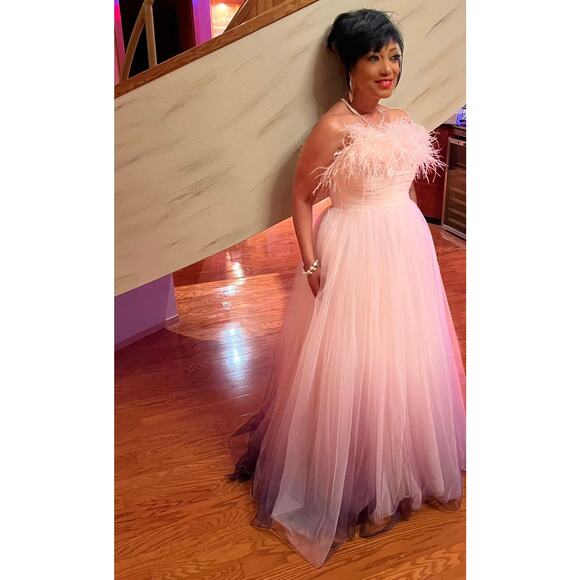 NWT MAC DUGGAL 20557 Pink Ombre Strapless Tulle Base Feather Bodice Gown Size 14 - Picture 9 of 16